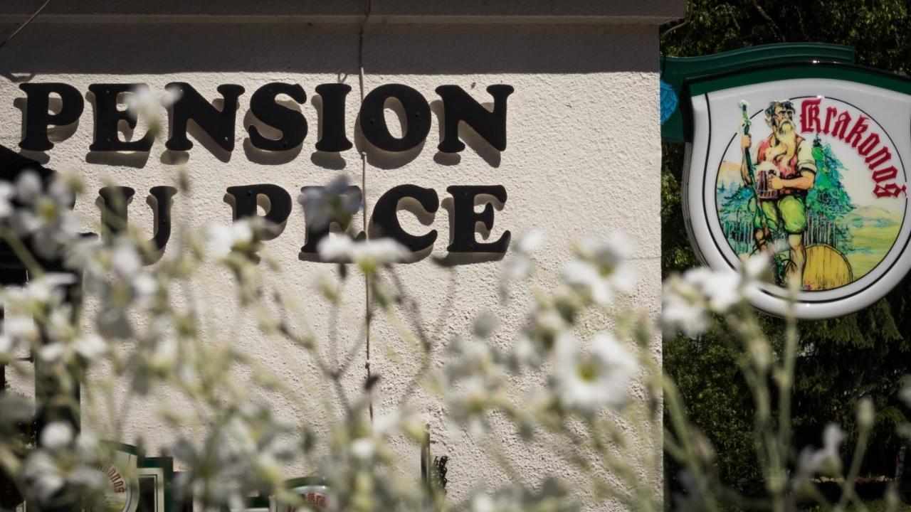 Pension U Pece Pec pod Snezkou Exteriör bild